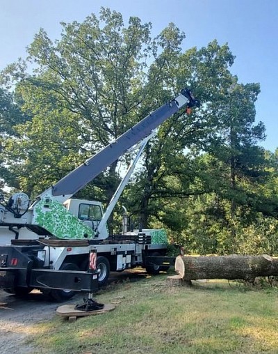 Tree Cutting North Shore
